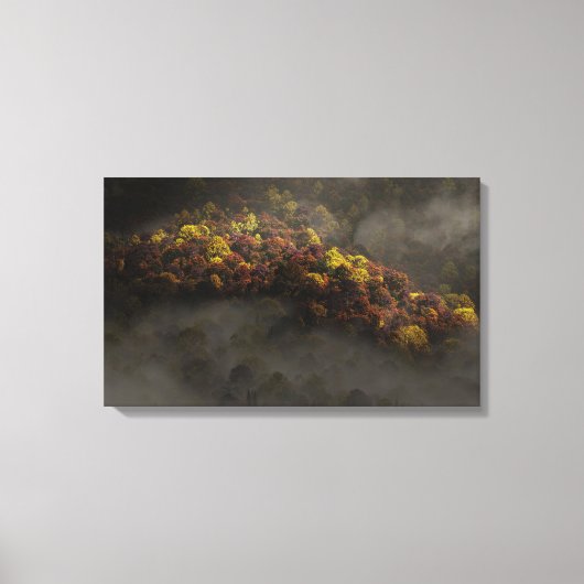 太陽に触れる キャンバスプリント (正面)