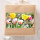 太陽に輝くチューリップ ラベル (インサイチュ)