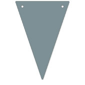 太陽ののまわりに最初の旅 バンティングフラッグ (第1の旗)