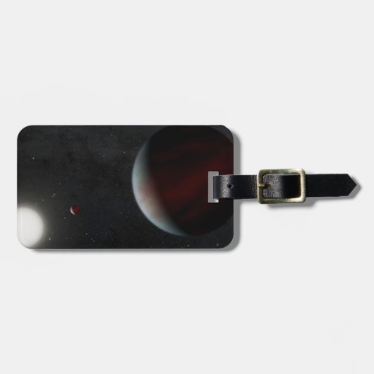 太陽のような恒星叙事詩を周回する惑星249731291 ラゲッジタグ (正面横)