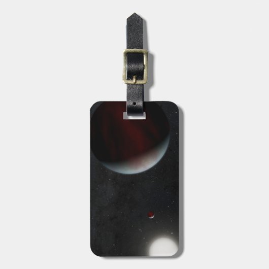 太陽のような恒星叙事詩を周回する惑星249731291 ラゲッジタグ (正面縦)