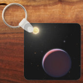 太陽のような星ケプラー51と3つの巨大な惑星。 キーホルダー (正面)