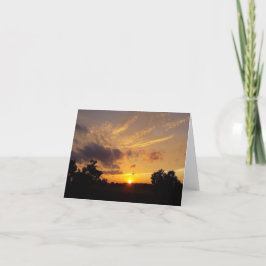 太陽のように シーズンカード