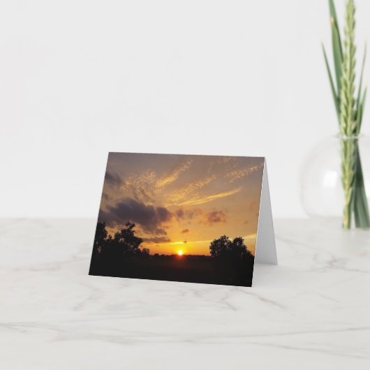 太陽のように シーズンカード (正面)