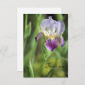 太陽のアイリス開花 サンキューカード (正面/裏面)