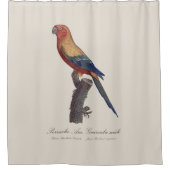 太陽のインコ オス,Aratinga Solstitialis シャワーカーテン (正面)