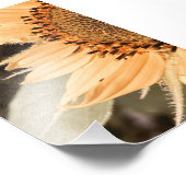 太陽のキスを受けたゴールデンサンフラワー フォトプリント            (角)