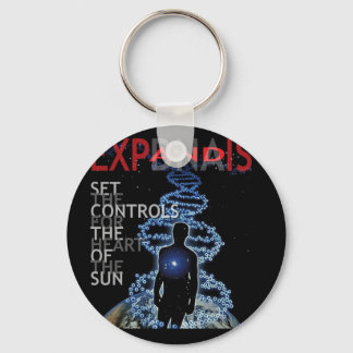 太陽のコントロールをハートする キーホルダー