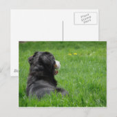 太陽のセレナ ポストカード (正面/裏面)