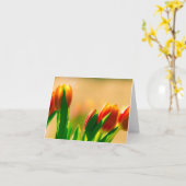 太陽のチューリップ カード (黄色い花)