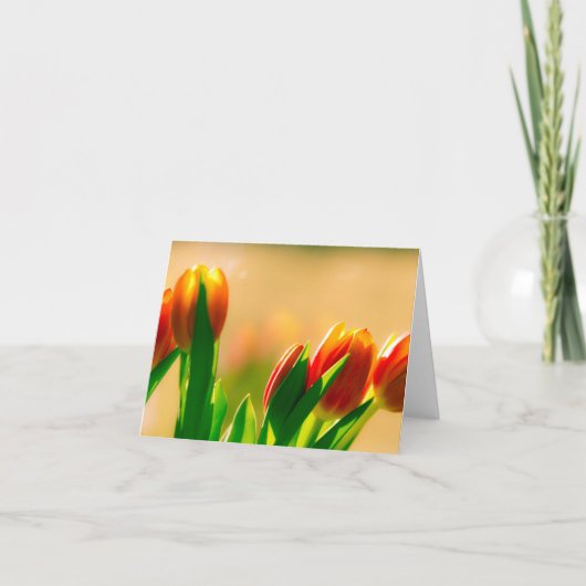 太陽のチューリップ カード (正面)
