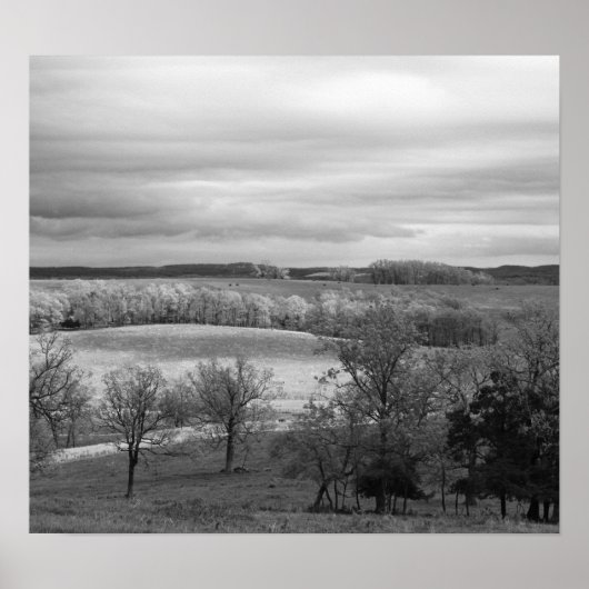 太陽のパッチ ポスター (正面)