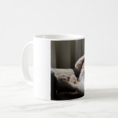 太陽のマグカップの中で眠っているカリコ コーヒーマグカップ (正面左)