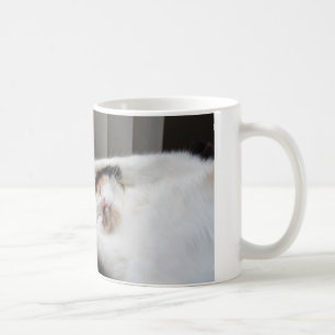 太陽のマグカップの中で眠っているカリコ コーヒーマグカップ