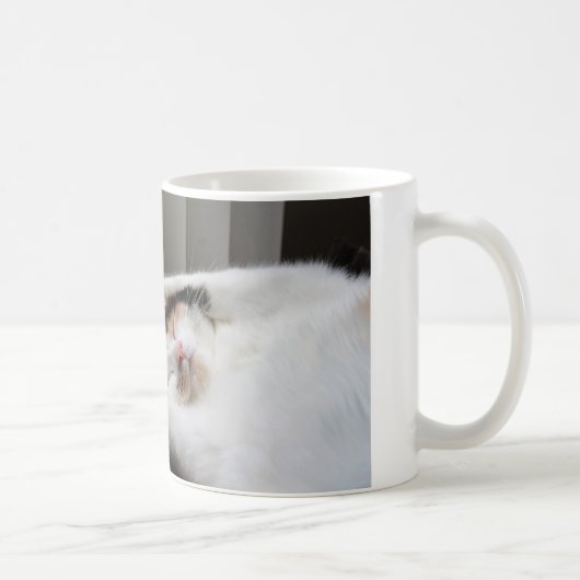 太陽のマグカップの中で眠っているカリコ コーヒーマグカップ (右)