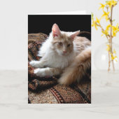 太陽のメインの白いあらいぐまとの赤 カード (黄色い花)