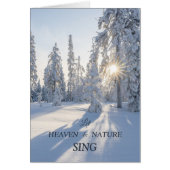 太陽の上の冬の松の木の平和クリスマスカード (正面)