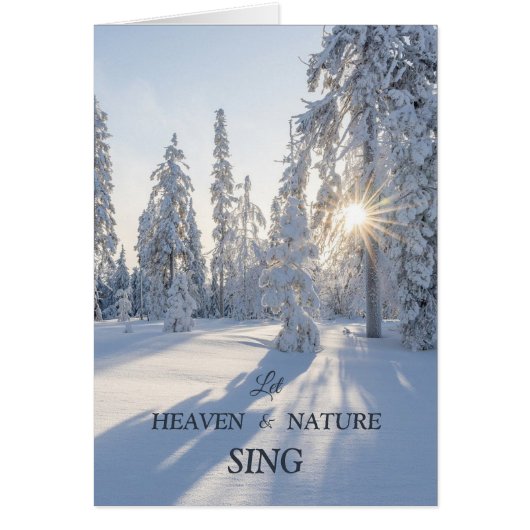 太陽の上の冬の松の木の平和クリスマスカード (正面)