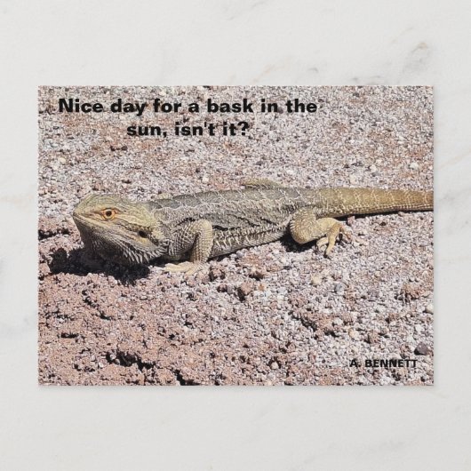 太陽の下でバスクのための素敵な日 ポストカード (正面)