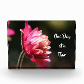 太陽の下で一度に引用文の花 フォトブロック (正面)