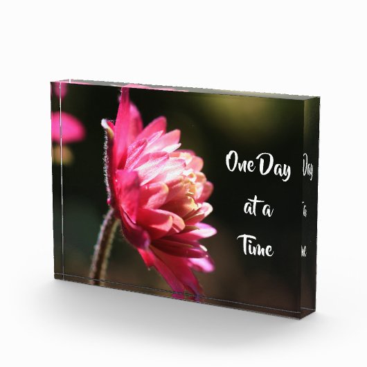 太陽の下で一度に引用文の花 フォトブロック (右)