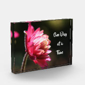 太陽の下で一度に引用文の花 フォトブロック (左)