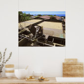 太陽の下で乾燥するコナコーヒー豆 – ハワイ ポスター (キッチン)