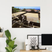 太陽の下で乾燥するコナコーヒー豆 – ハワイ ポスター (ホームオフィス)