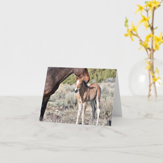 太陽の下で立つ母馬と子馬 カード (黄色い花)