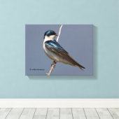 太陽の下で雄のツバメのプロフィール キャンバスプリント (インサイチュ (ウッドフロア))