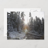 太陽の下に向かう雪の汚れた道 ポストカード (正面/裏面)