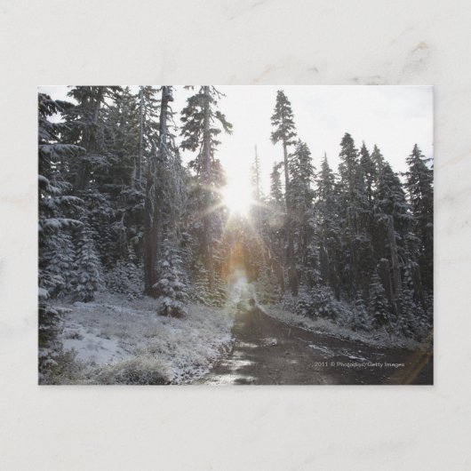 太陽の下に向かう雪の汚れた道 ポストカード (正面)