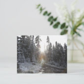 太陽の下に向かう雪の汚れた道 ポストカード (スタンド正面)