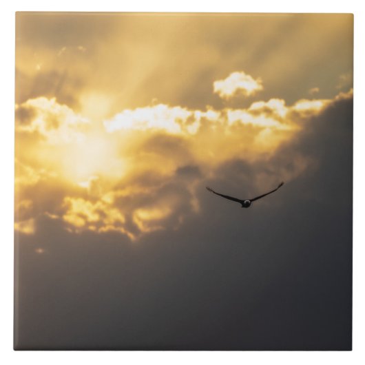 太陽の下に広がるワシから タイル (正面)