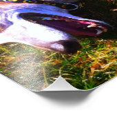 太陽の下に横たわる微笑むグレイハウンド フォトプリント            (角)