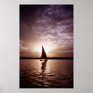 太陽の下に潜むフルーカ ポスター