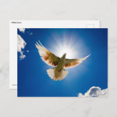 太陽の下に潜る ポストカード (正面/裏面)