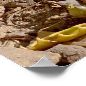 太陽の下に白いメルカットが立っていた。 ポスター (角)