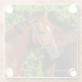 太陽の下に美しい栗の馬が2頭 ガラスコースター (裏面)