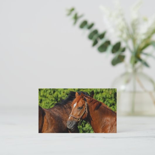 太陽の下に美しい栗の馬が2頭 名刺 (スタンド正面)