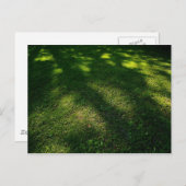 太陽の下に覆われた芝生 ポストカード (正面/裏面)