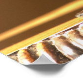 太陽の下に赤いシャトー・ベルグラーブのグラス –  ポスター (角)