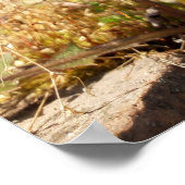 太陽の下のタンポポ ポスター (角)