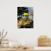 太陽の下のタンポポ ポスター (キッチン)