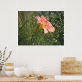 太陽の下のデイリリーのプリント ポスター (キッチン)