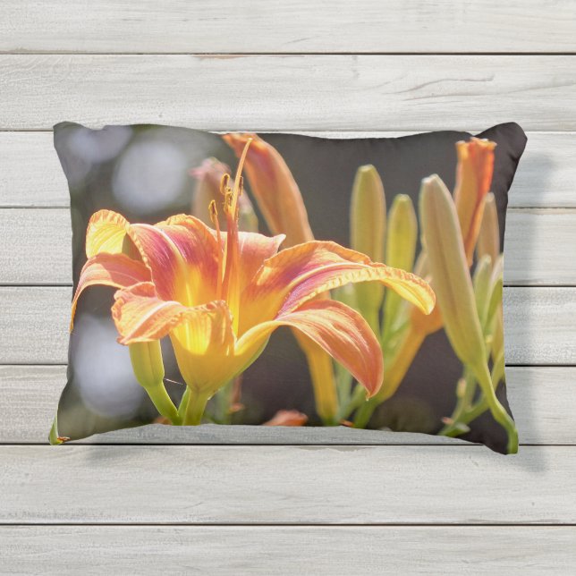 太陽の下のユリ アウトドアクッション (裏面)