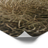 太陽の下の好奇心アルパカ ポスター (角)