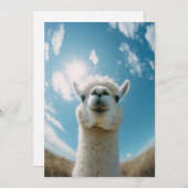 太陽の下の好奇心アルパカ 招待状 (正面/裏面)