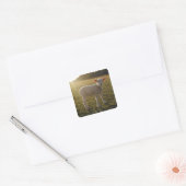 太陽の下の子羊スウェーデン スクエアシール (封筒)
