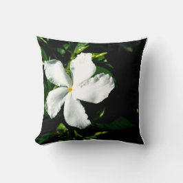 太陽の下の白ピンホイールジャスミン クッション